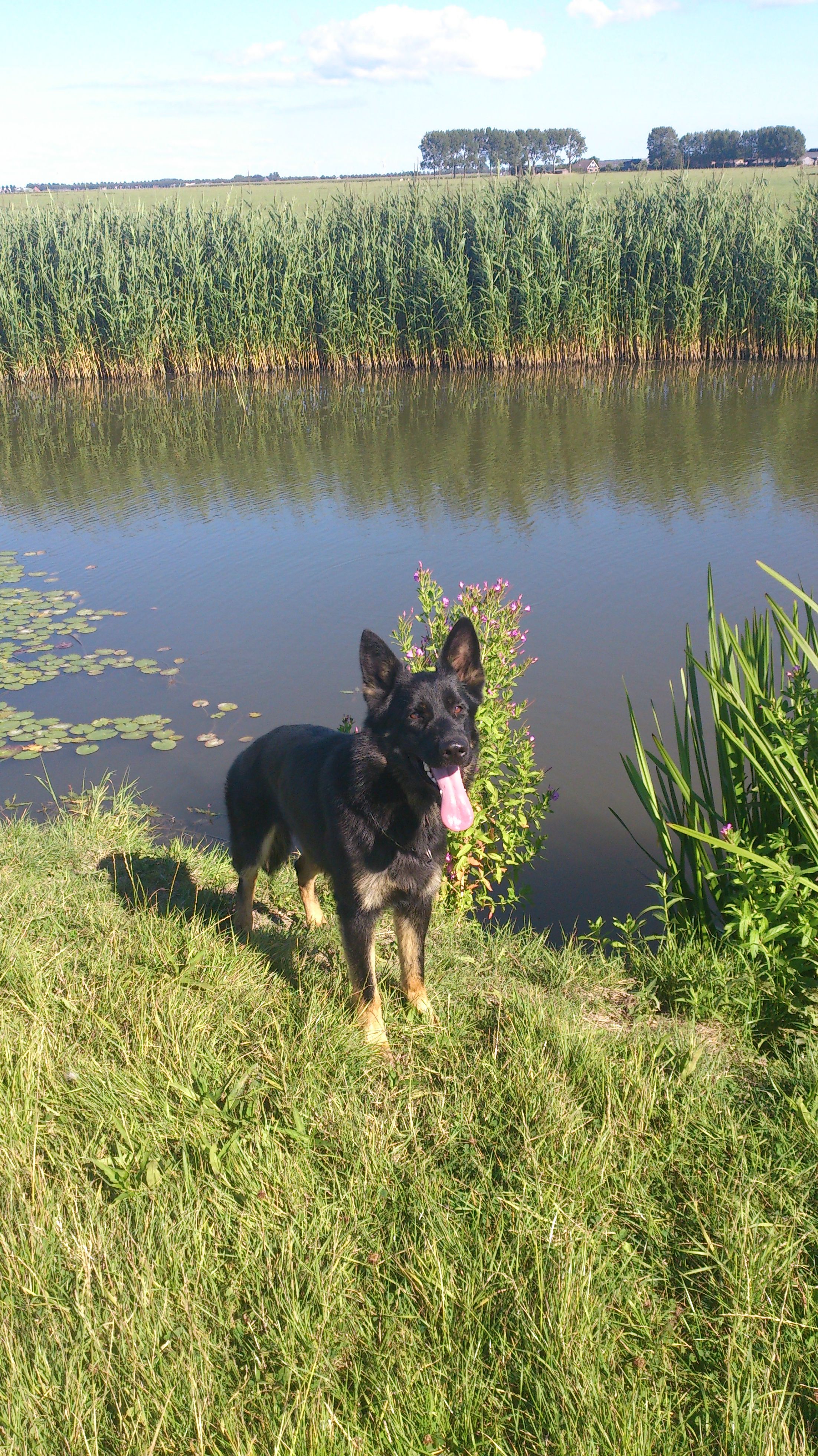 Standfoto Benthe