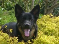 Kopfoto Benthe