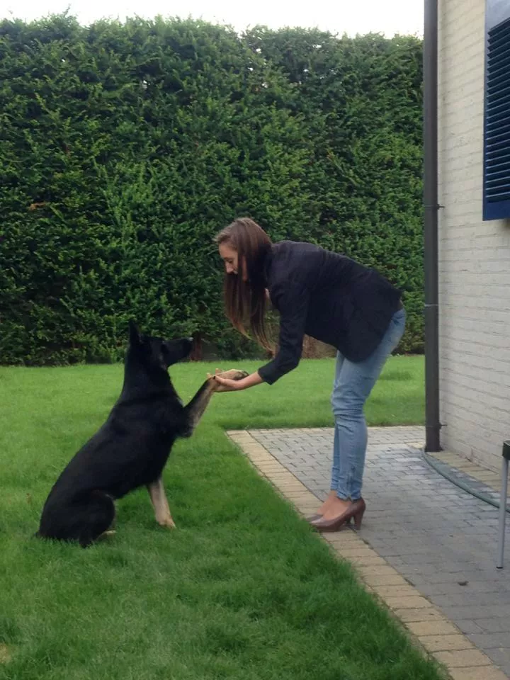 Kady vom grünen Alfene - 3 jaar